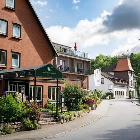 Hotel Birke - Appartments Waldesruh-3